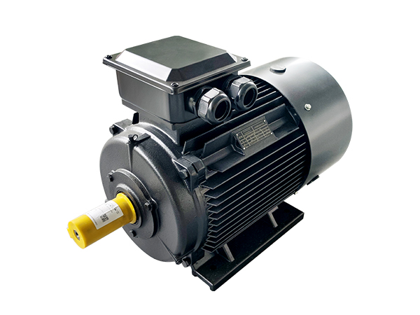 風(fēng)冷永磁同步電機